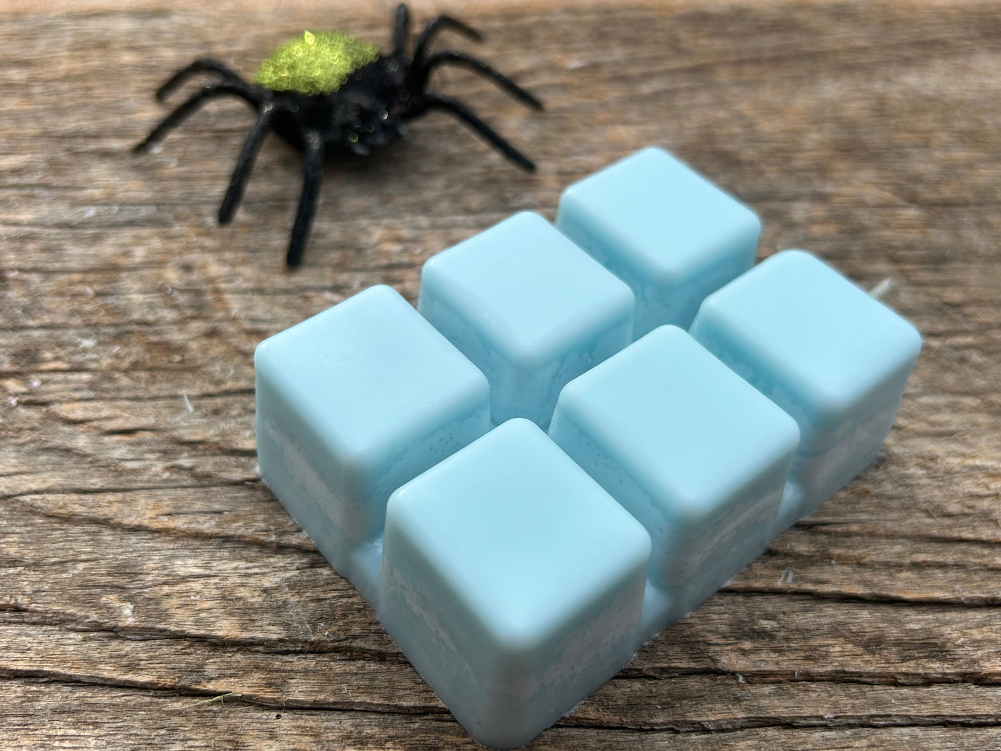 Ghost Tours- Autumn Night Type Scented Soy Wax Melt
