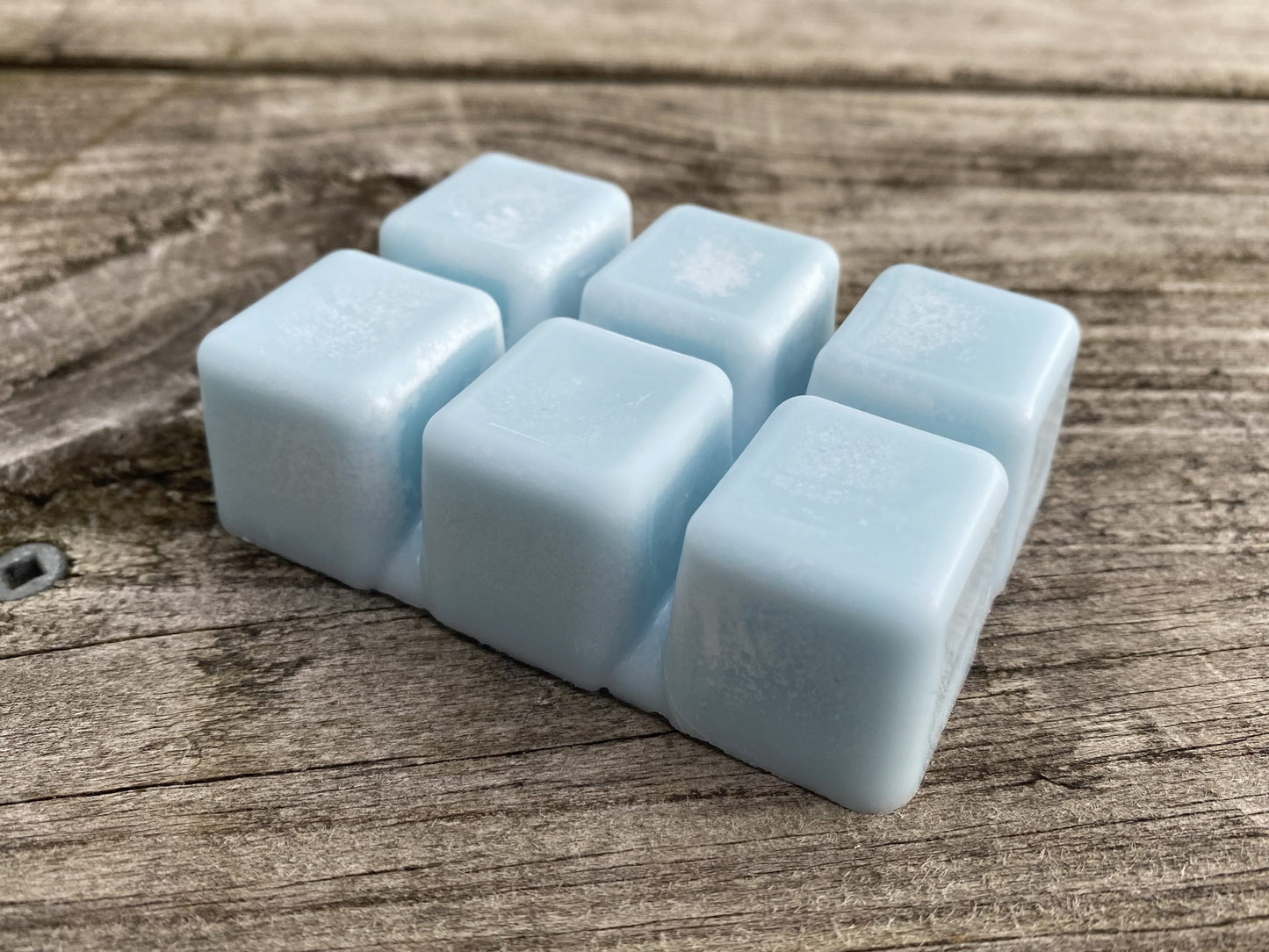 Wave Runner - Seaside Serenity Scented Soy Wax Melt image 2