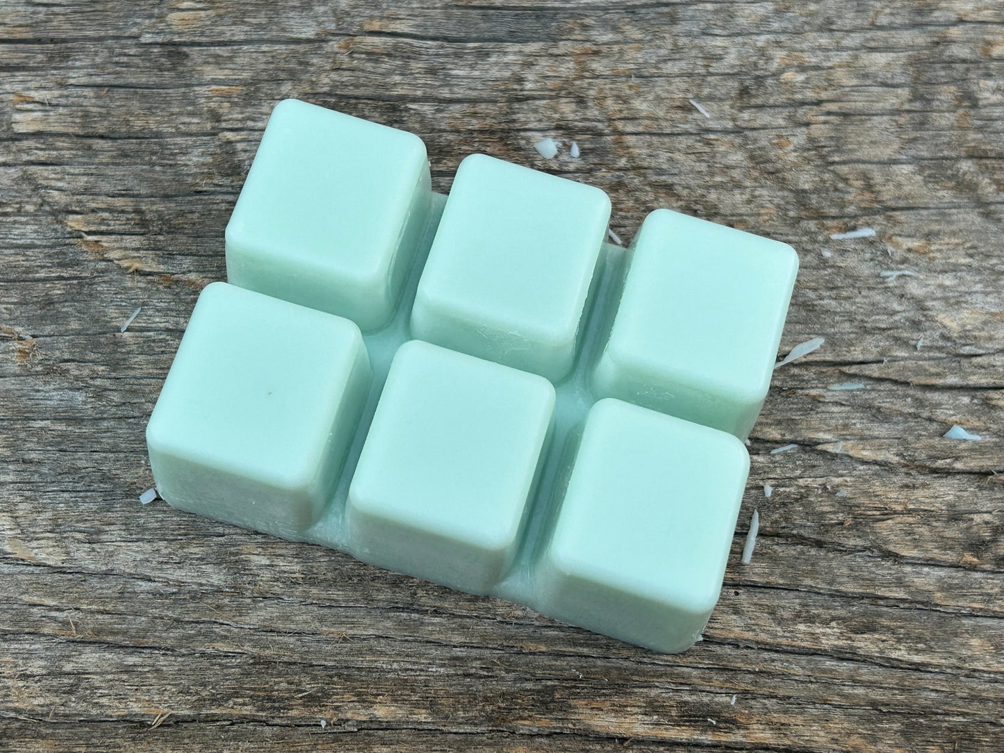Cactus Dust - Baja Cactus Flower Inspired Soy Wax Melt