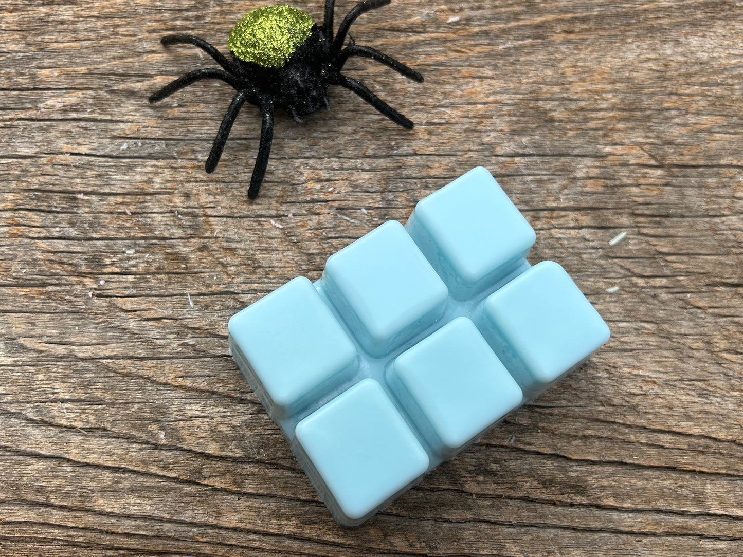 Ghost Tours- Autumn Night Type Scented Soy Wax Melt