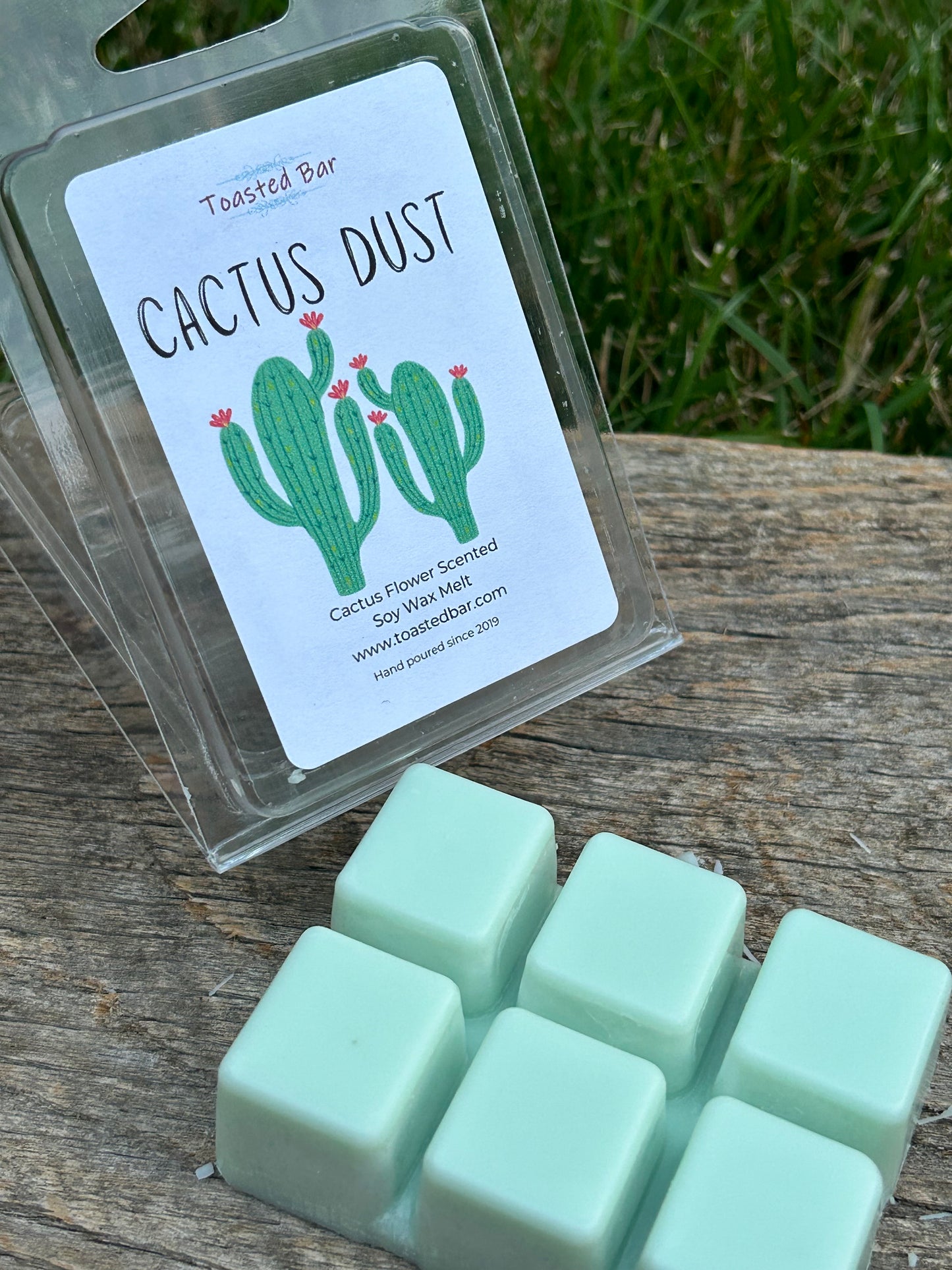 Cactus Dust - Baja Cactus Flower Inspired Soy Wax Melt