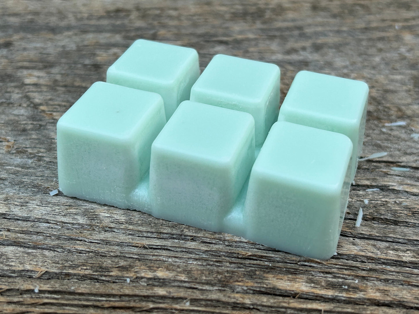 Cactus Dust - Baja Cactus Flower Inspired Soy Wax Melt