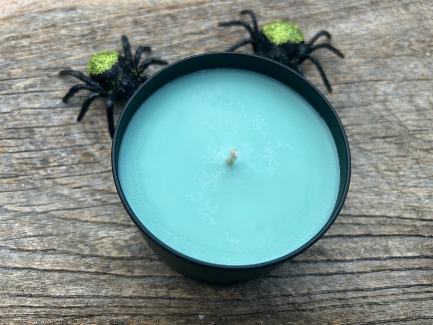 Haunted Woods - Sugar Pine & Patchouli Scented Soy Candle