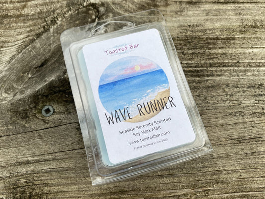 Wave Runner - Seaside Serenity Scented Soy Wax Melt image 0