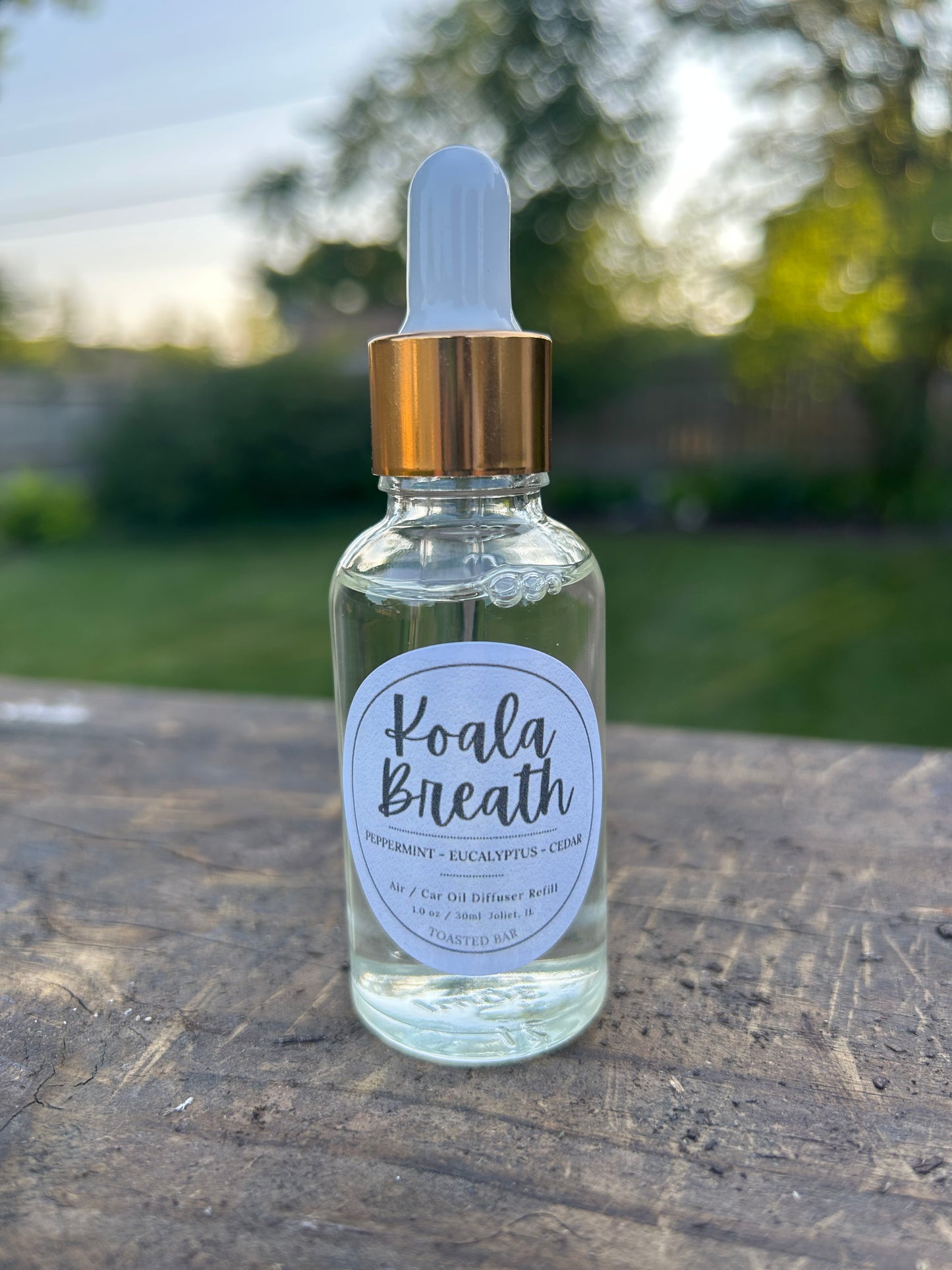 Diffuser Bottle Refills