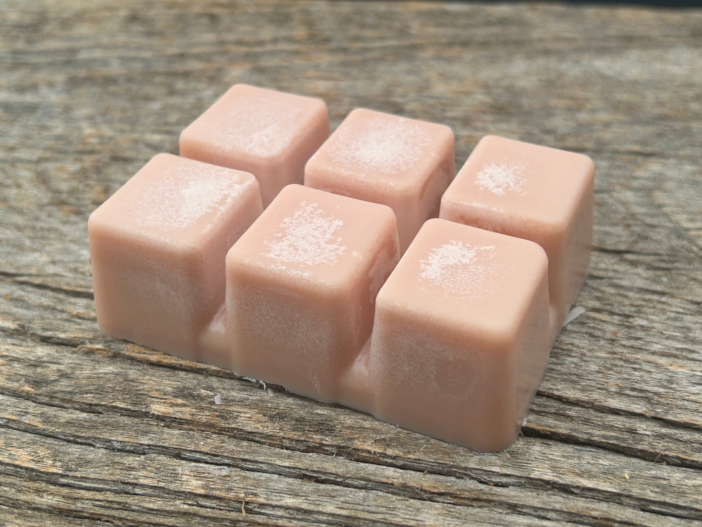 Reindeer Poop - Caramelized Pralines Scented Soy Wax Melt